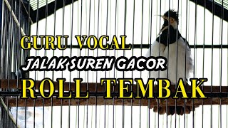 Download lagu JALAK SUREN ROLL TEMBAK mp3