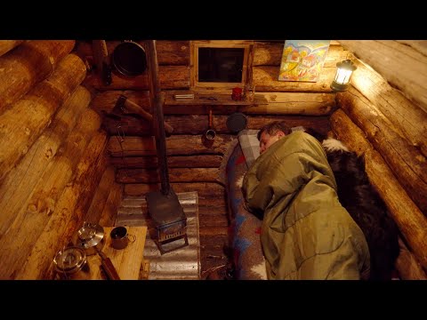 Man and Dog Stay Overnight in a Forest Cabin — Then a Snowstorm Begins