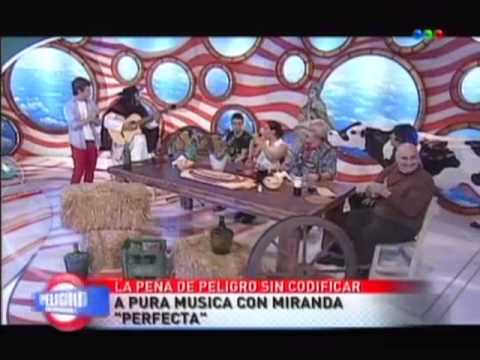 La peña de Peligro Sin Codificar - Miranda