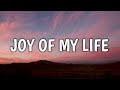 Chris Stapleton - Joy of My Life (Lyrics)