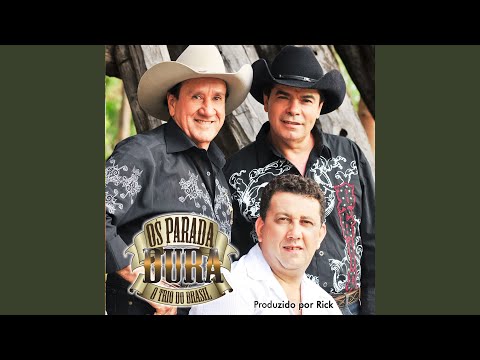 Pássaro Sem Ninho - Trio Parada Dura