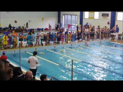 Shani C.-Monti R. 50SL (Es.B Masc.) - 2016/2017 - Camp.Giov. - Tavarnuzze - 04/12/16