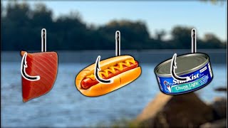 Fishing with Leftovers - Will it work?