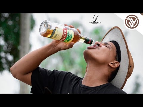 Foi Whisky Vodka Cerveja Lolo - Piseiro do Barão (Clipe Piseiro)
