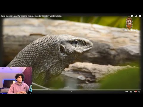 4 Guys Lizard