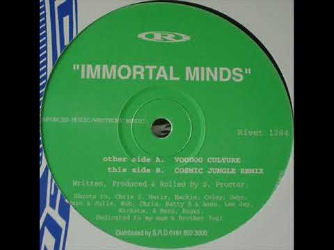 Immortal Minds - Cosmic Jungle (Remix)