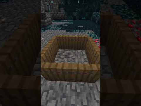 How to BLOCK the WARDEN in 5 seconds! Minecraft ita