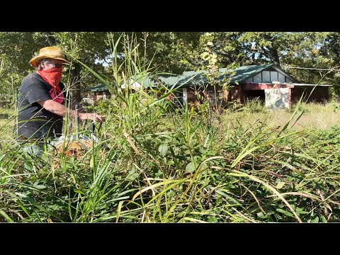 “Helping the Community with an Extreme Cleanup of an Overgrown, Fire-Damaged Property!”