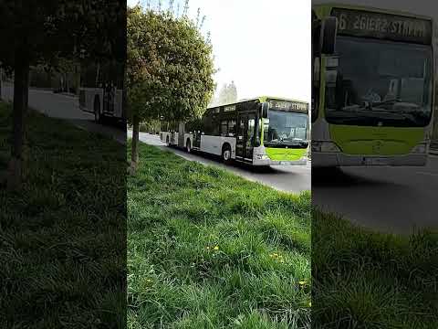 Mercedes Benz Citaro ZPK Markab ➡️linia 6 #autobus #przegubowy