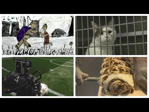 SchnappFisch - Best of 2017