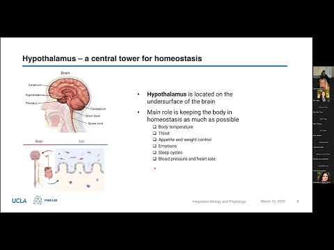 Daniel Ha (Yang), Postdoc, Dept. Integrative Biology and Physiology