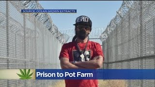 Bob Marley&#39;s Son Turning Empty Central California Prison Into Pot Farm
