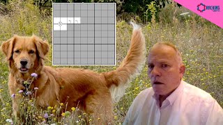 Please Find the Lost Toy!