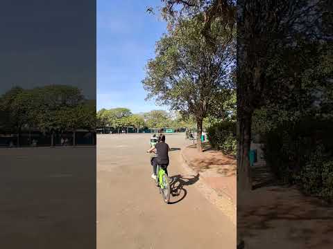 Parque do Ibirapuera São Paulo