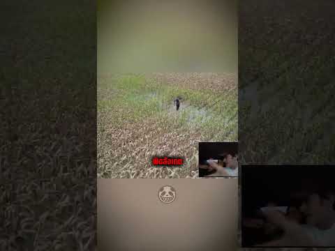 หลอน! หุ่นไล่กาขยับเอง