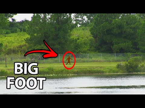 100% PROOF Bigfoot Is In Florida (Episode 2)