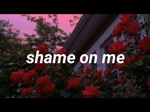 Bmike - SHAME ON ME [LYRICS]