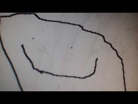 A Tour Of Windows 3.1