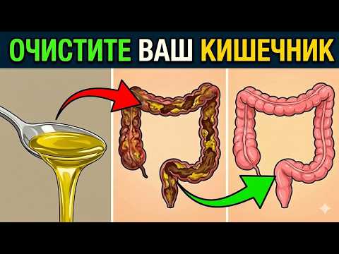 ЭТО масло запустит кишечник! Клетчатка больше не нужна