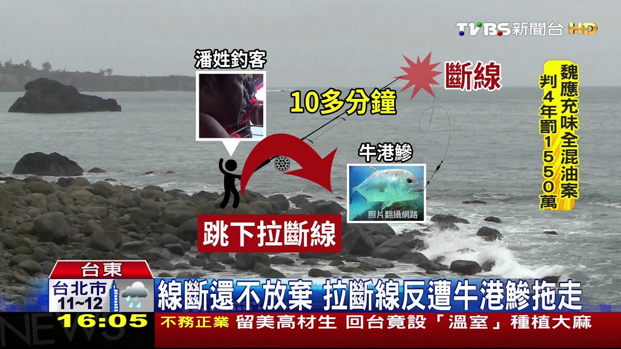 釣中大魚不願放 男子反遭牛港鰺拖進海
