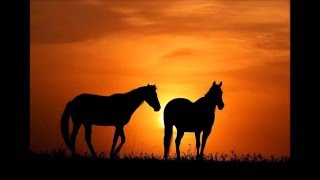 "I want A Cowboy" By Reba Mcentire