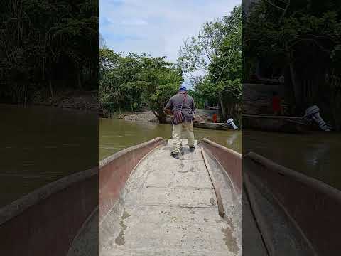 De Izabal a Alta Verpaz en la balsa 🚤 🇬🇹👨‍🏫💪🏻 #shorts #shortvideo