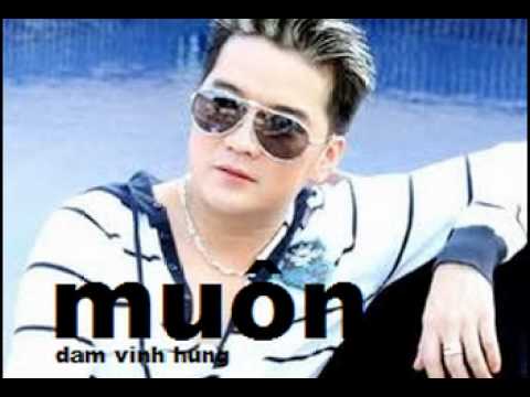 muộn - đàm vĩnh hưng (remix)