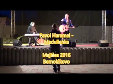 Pavol Hammel - Medulienka
