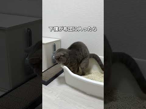 猫が下僕をナメてる10選 #猫 #猫あるある #ねこ #猫のいる暮らし #ねこ動画 #猫動画 #cat #猫好きさんと繋がりたい #猫のいる生活 #子猫