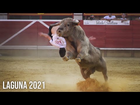 Laguna de Duero Concurso de Cortes con Toros Bravos Pucelano de Oro 2021