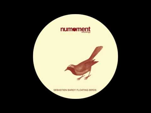 Sebastien Bardy Floating Birds & Arno E. Mathieu Rn7 Remix (Clip Preview)