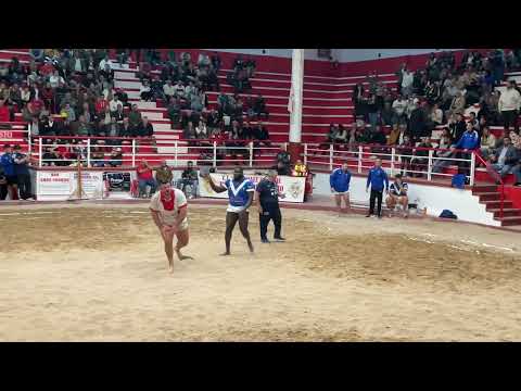 Mamadou Camara & Añaterve Abreu 7/1/2023