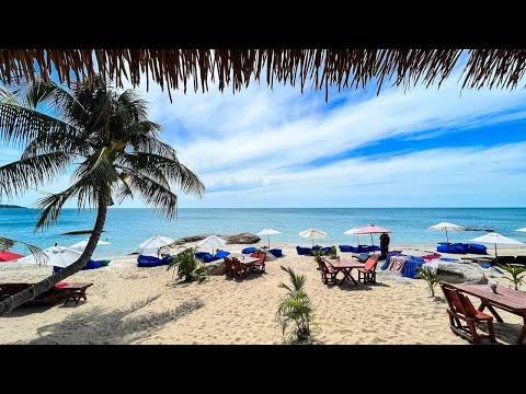 Black Pearl Lamai Beach thumbnail