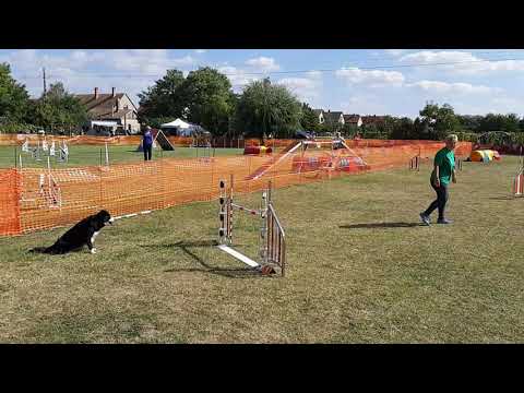 Smaragd kupa jumping