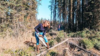 10 Acres in ALASKA! Clearing land & Stocking up Firewood...