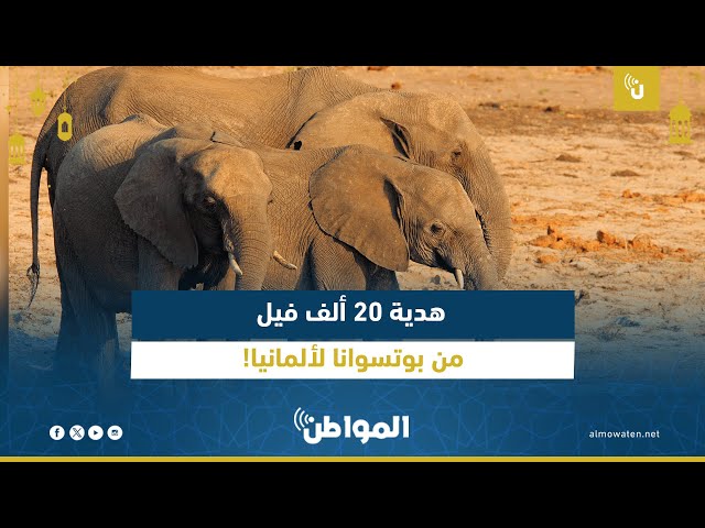 20 ألف فيل هدية من بوتسوانا لألمانيا!