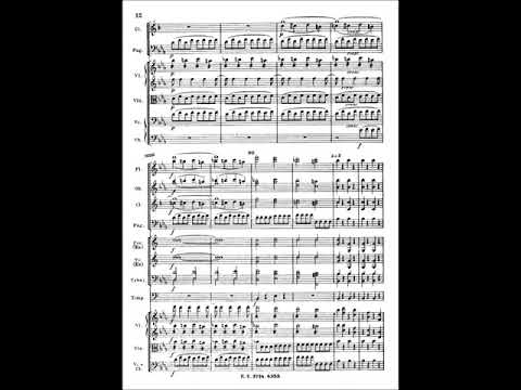 Magic Flute Overture   Orchestra Score