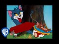 Tom Y Jerry En Español Todas Las Travesuras WB Kids