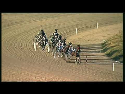 Trotto 31/01/2020 - 7ª corsa