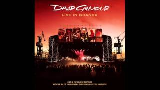 David Gilmour (Live In Gdansk) - "This Heaven"