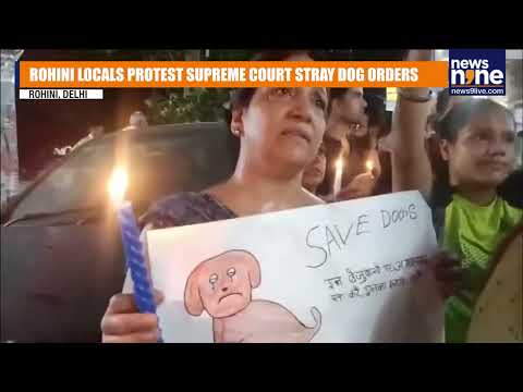 Rohini Residents Protest Supreme Court Order on Stray Dogs | News9
