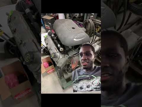 An OVERVIEW on the 4.8 and 5.3! | Let me explain why they’re overpowered!