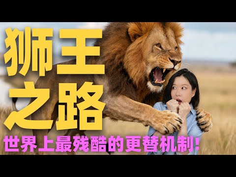 狮子王还是美化了!狮群成员真实的关系血腥残酷得多!