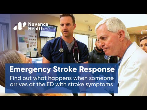 Time is Brain: Stroke Treatment from Emergency Care to Recovery