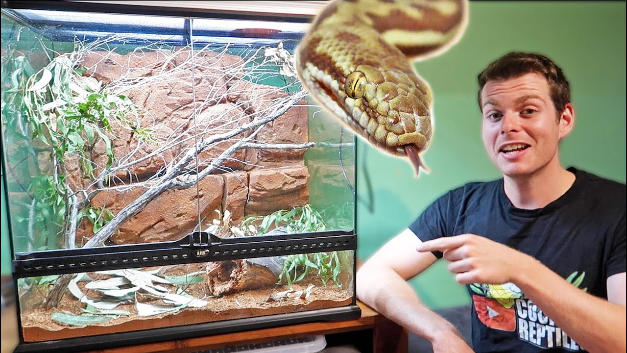 Stimsons Python Enclosure Setup!