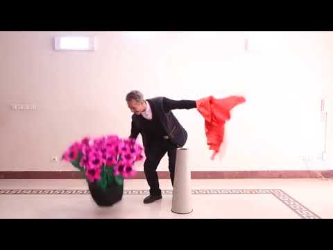 Tora Biggest Botania in the World (55 Blooms) with Flower Pots