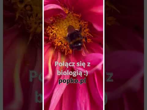 [Encyklopedia Wiedzy Duchowej] Polącz się z biologią… #popko #rozwojduchowy #rozwojosobisty #biologia #ziemia #przyroda
