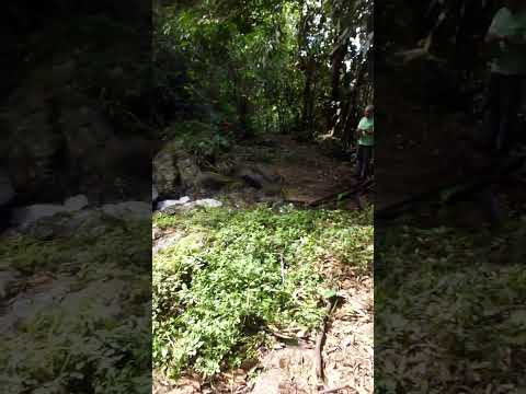 Cachoeira De Cima Da Figueira - Doutor Ulysses, PR