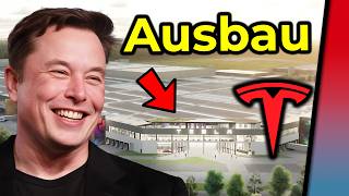Teslas Erweiterung Giga Berlin bestätigt: 500.000 auf 800.000 Fahrzeuge Jahreskapazität