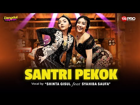 SANTRI PEKOK - Shinta Gisul Ft. Syahiba Saufa (Dangdut Koplo Version)